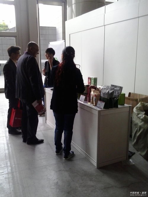 深耕教育咨詢，北京首冠國際賦能未來成長